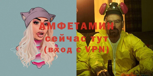индика Балабаново