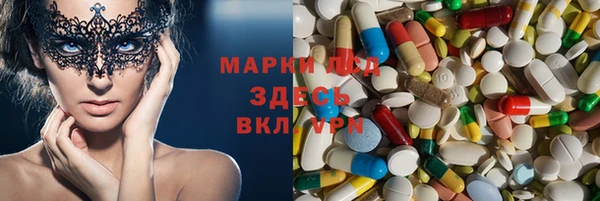 мяу мяу мука Аркадак